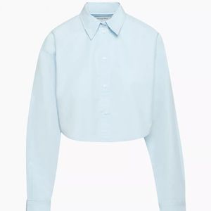 Aritzia Sunday Best Cropped Button-up